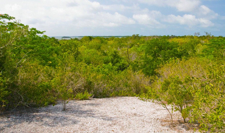 Mound Key Archaeological State Park, Florida, USA